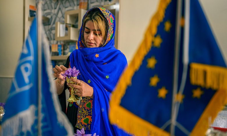 Severe Restrictions: UN Says Only 7% of Afghan Women Work Outside the Home