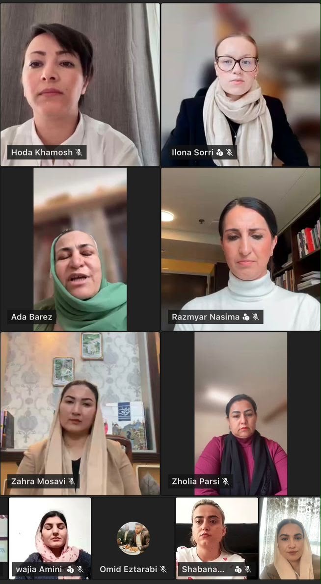 Report on the Online Meeting with Ms. Nasima Razmyar, Member of the Finnish Parliament